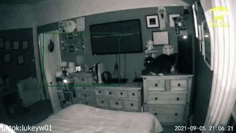 Cats and Paranormal Activity #cats #haunted #Ghost