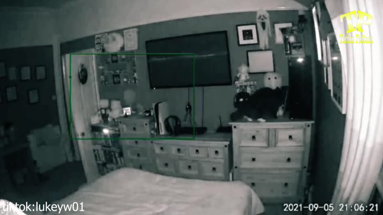Cats and Paranormal Activity #cats #haunted #Ghost