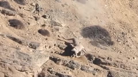 Mind-blowing!!! Best video ever