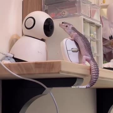 Monitor this why don’t you