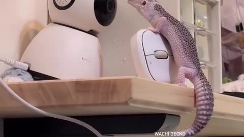 Monitor this why don’t you