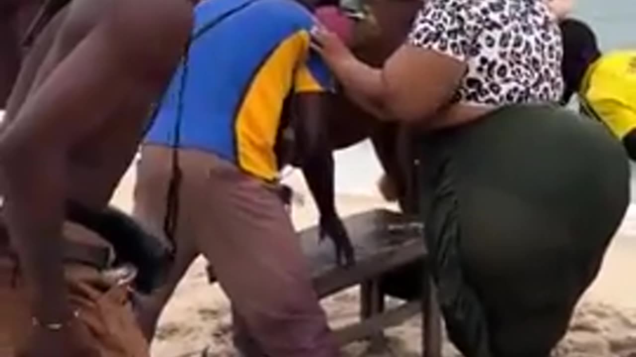 Investigation Reveals Cause of Death for Horse Discovered on MLK Drive in Atlanta