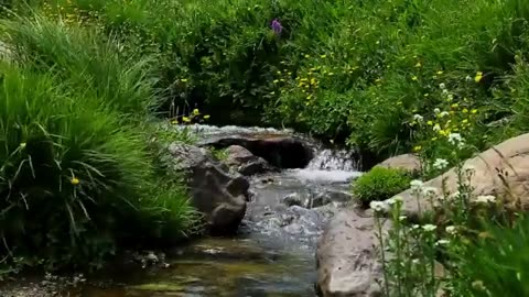 Types of Landforms | Learn about many different natural features of the earth