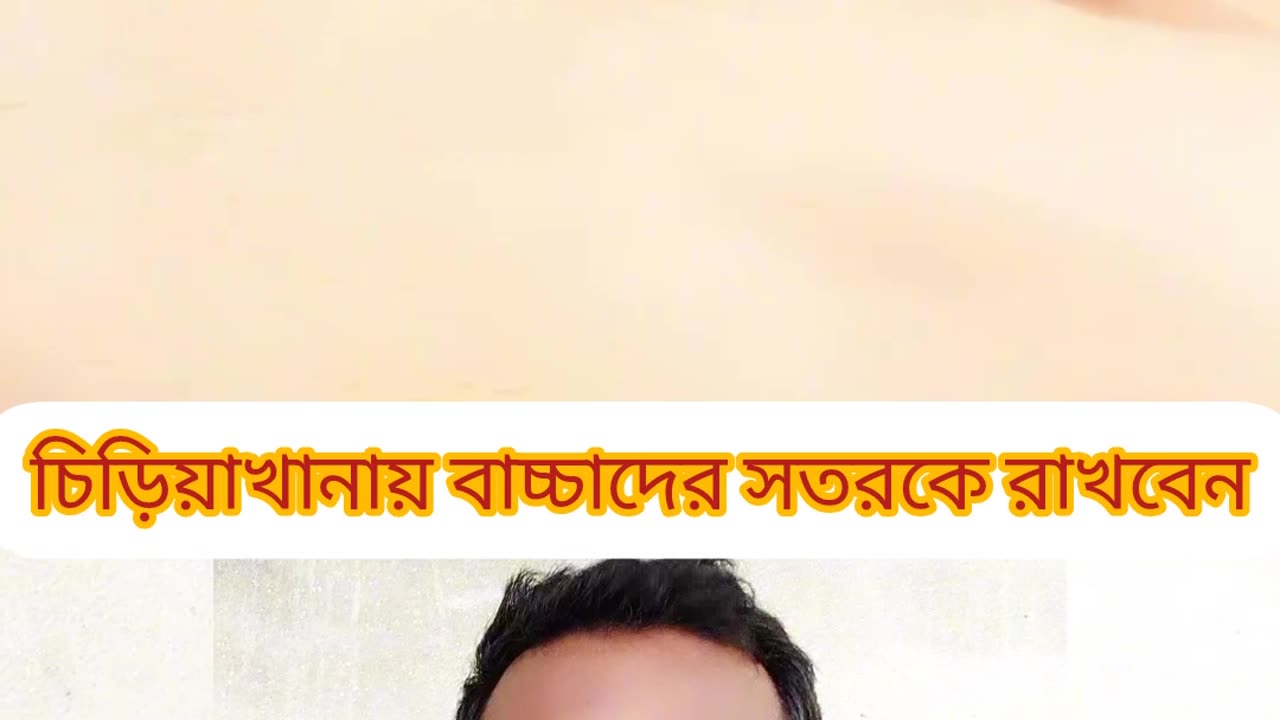 🦁 চিড়িয়াখানায় শিশুকে টেনে নিল সিংহ! ⚠️ সবাই সতর্ক থাকুন! | Zoo Lion Attack | Bangla Reaction