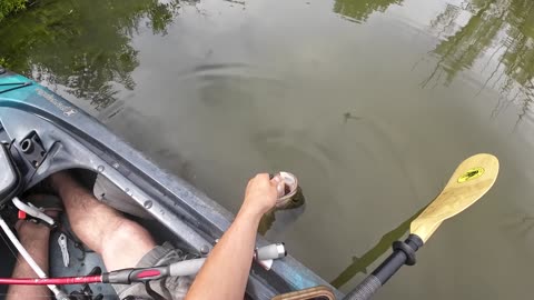 Kayak Fishing BIG LARGEMOUTH Bass in Western New York! 2023