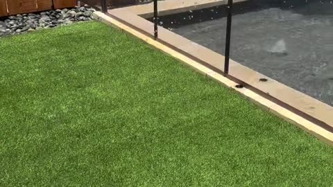 Book Your Landscaping Consultation in Boerne, TX