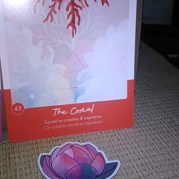 Queendom of Heaven 12-12-25 #oraclecards