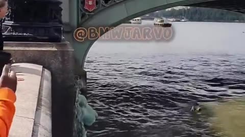 😂🔍 The Most Hilarious Attempt to Catch a Criminal! | FunFM