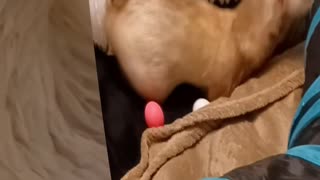 Romeo made his own tunnel modifications!