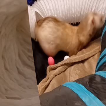 Romeo made his own tunnel modifications!