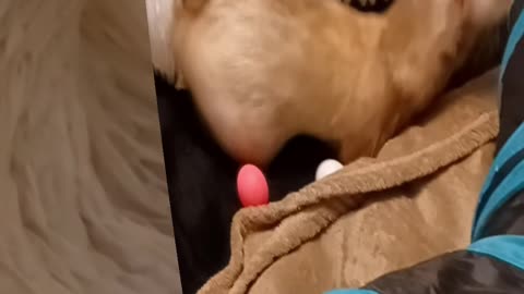 Romeo made his own tunnel modifications!