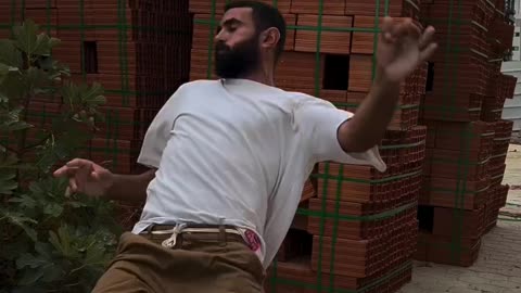 funnyvideosdaily
