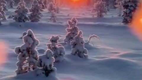 Good frosty morning, friends!