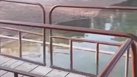 So funny🤣