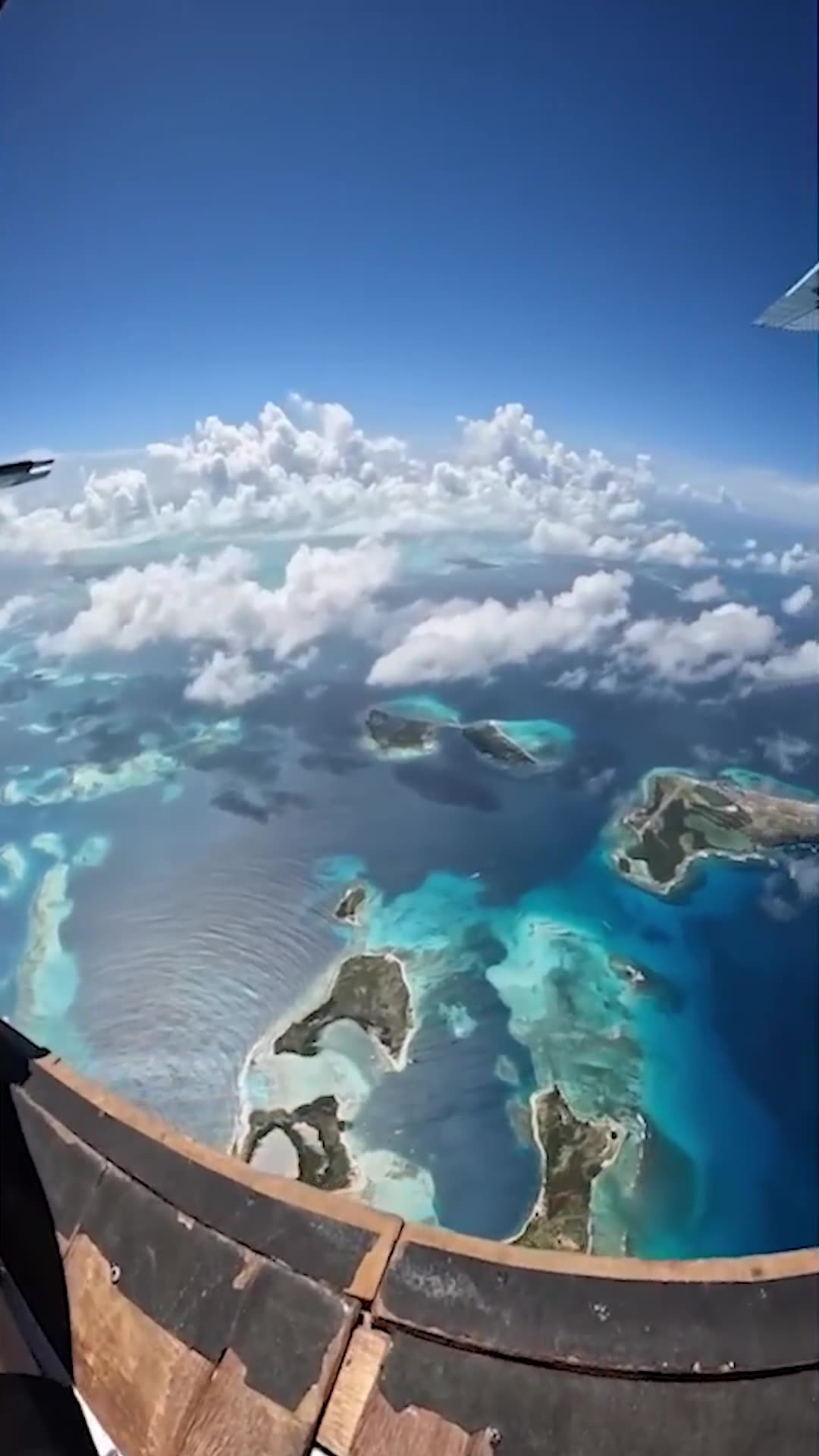 Tv - Entertainment, Trending, Viral! 2026/2027 🔥 Top Videos You Have to See to Believe 💯