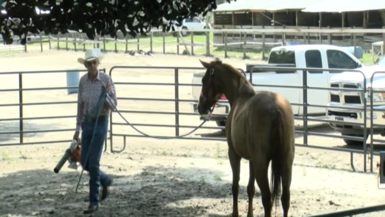 Skipper Calder & Cowboy-up Ministry bring horse training with a message at 11am.