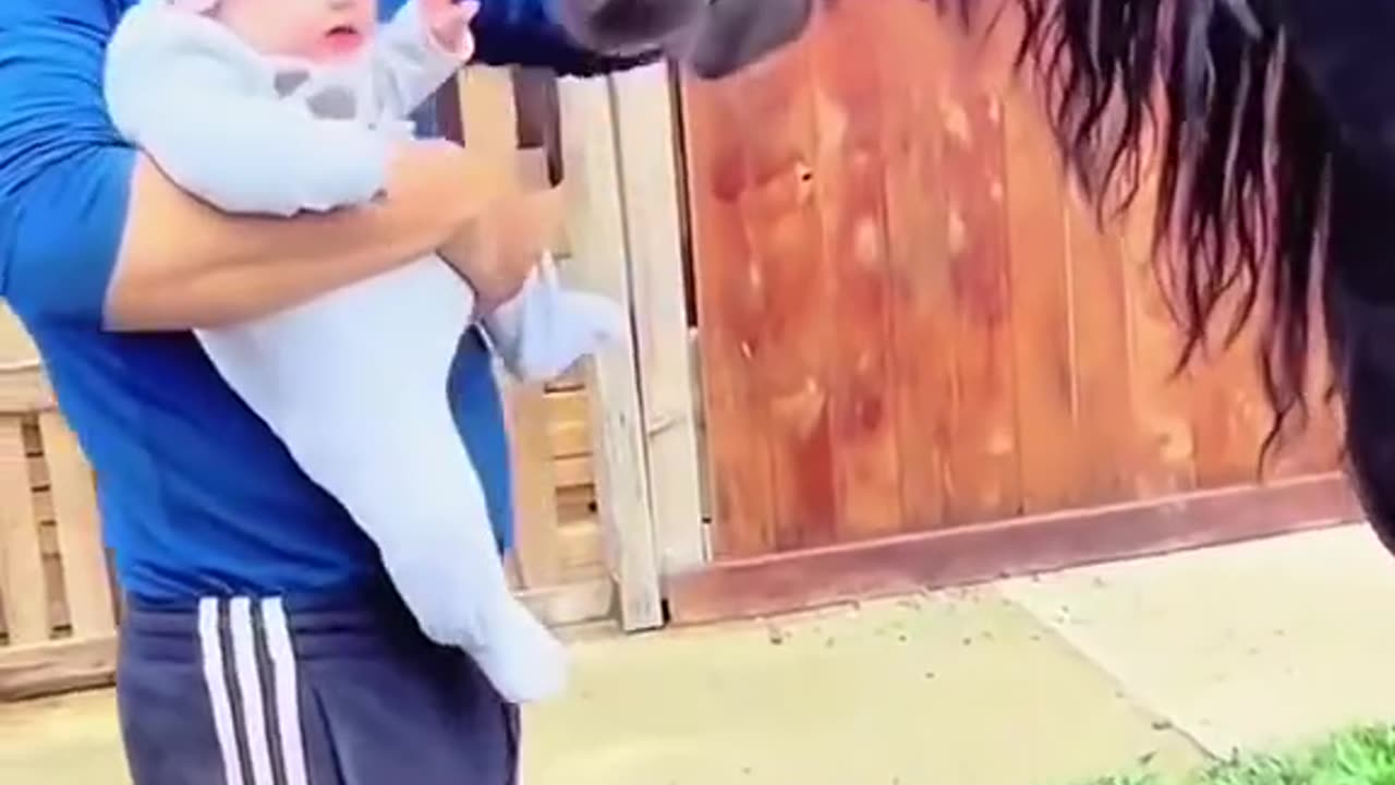 Funny