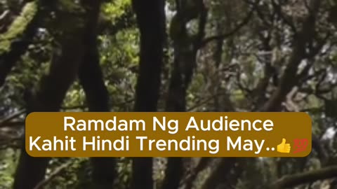 Ramdam Ng Audience