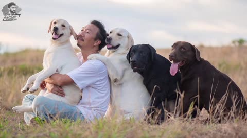 A loving owner who devoted all his time to his dogs