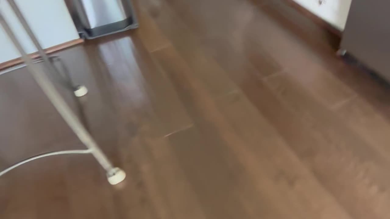 Mr. Squeaks Around the House Chase