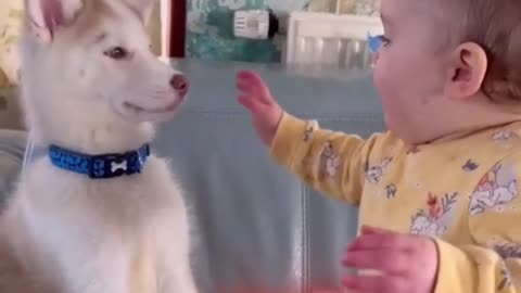 The Sweetest Puppy & Child Love Story ❤️🐶