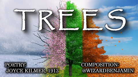 「AI RADIO」"TREES"