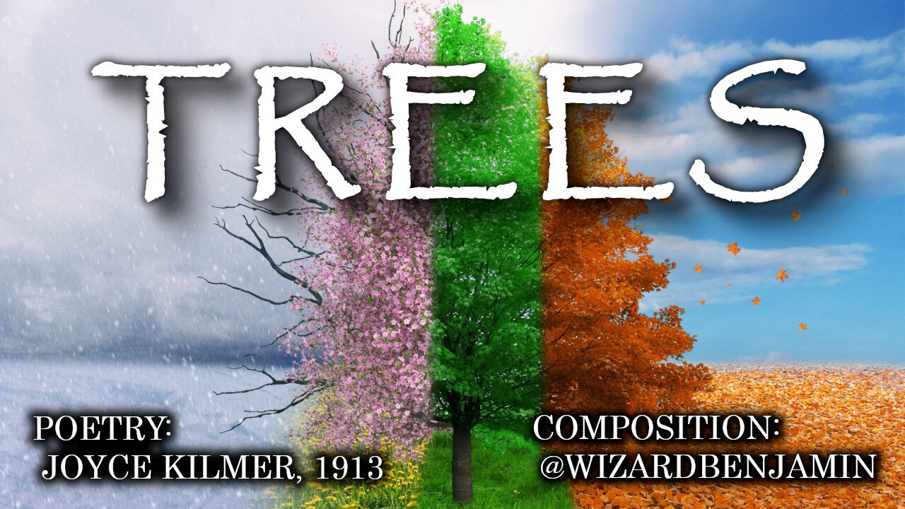 「AI RADIO」"TREES"