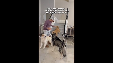 Nothing can be done in peace around here…😍
