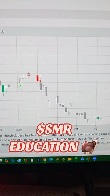 $SMR 🦃