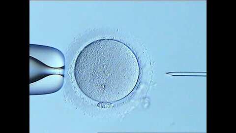 ICSI Footage.