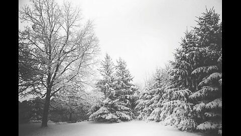 Blizzard Sounds for Deep Sleep & Relaxation ❄️ | 3 Hour Howling Wind & Snowstorm Ambience