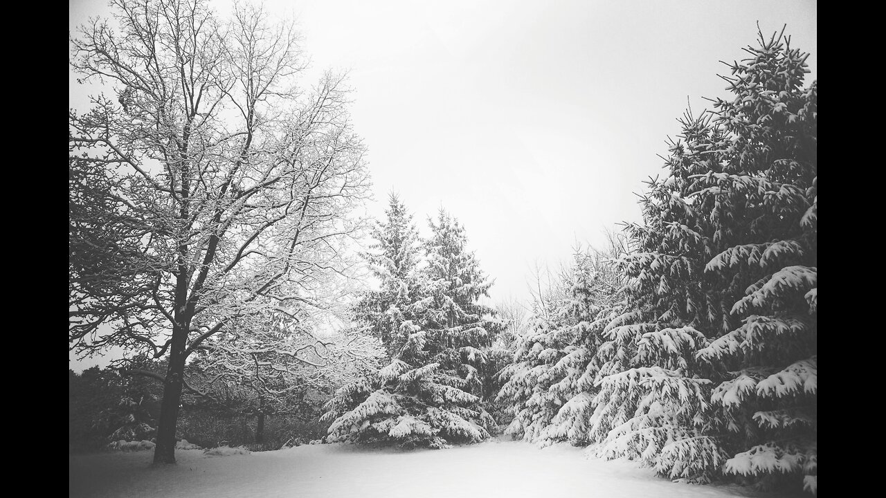 Blizzard Sounds for Deep Sleep & Relaxation ❄️ | 3 Hour Howling Wind & Snowstorm Ambience