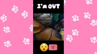 That Was Enough of That