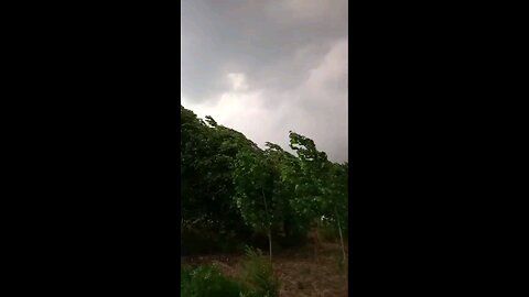 satisfying Video