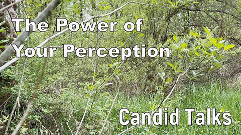 Candid Talks 008 💫 The Power of Perception | How Do You Perceive the World? #podcast #shawnpederson