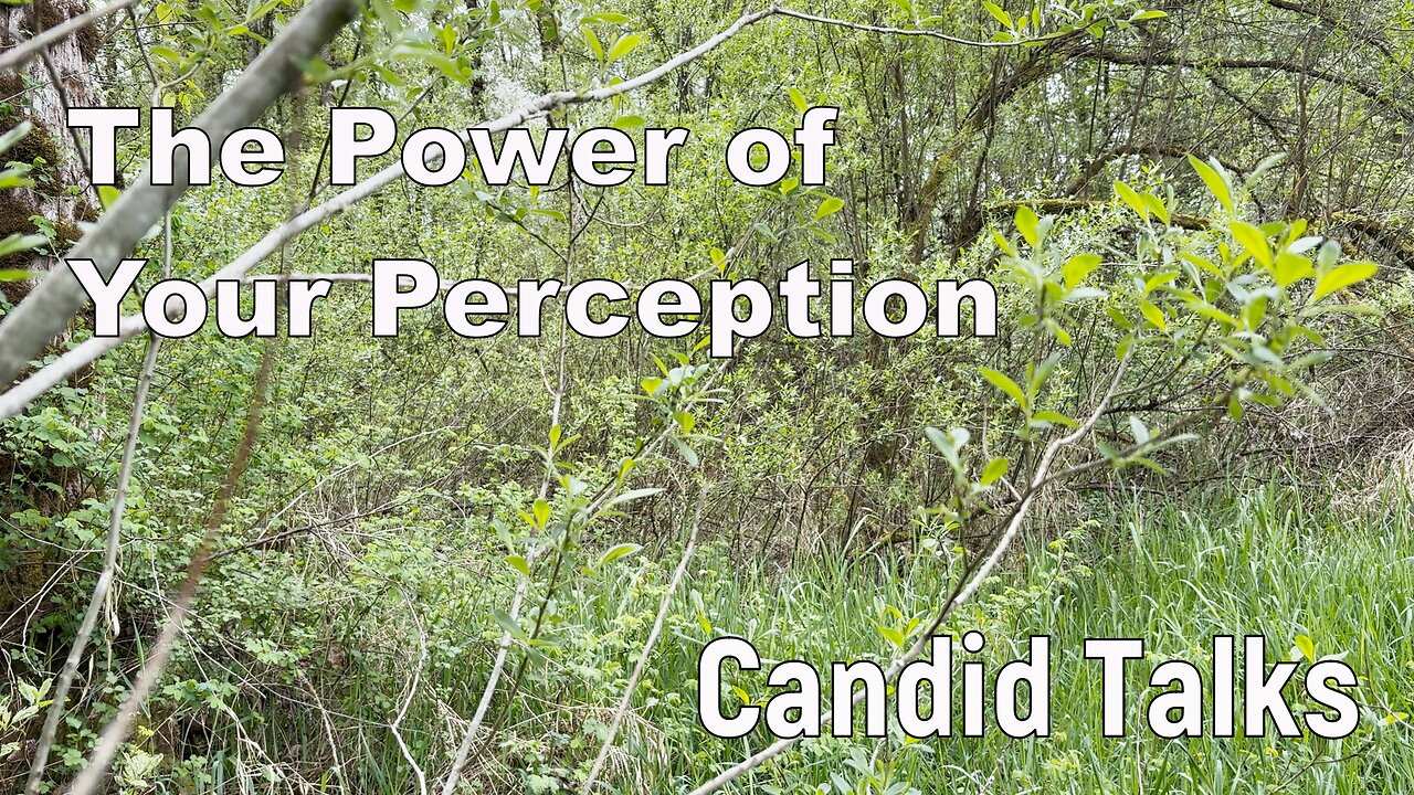💫The Power of Perception | Candid Talks 008 | How Do You Perceive the World? #podcast #shawnpederson