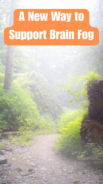 Why I’m Building a Program for Brain Fog and Cognitive Healing