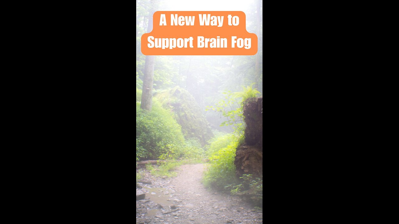Why I’m Building a Program for Brain Fog and Cognitive Healing