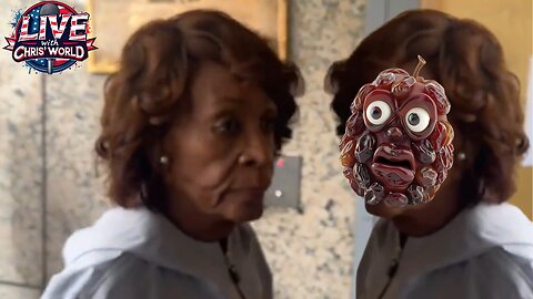 Maxine Waters OR Raisin?! I CAN’T TELL THE DIFFERENCE!