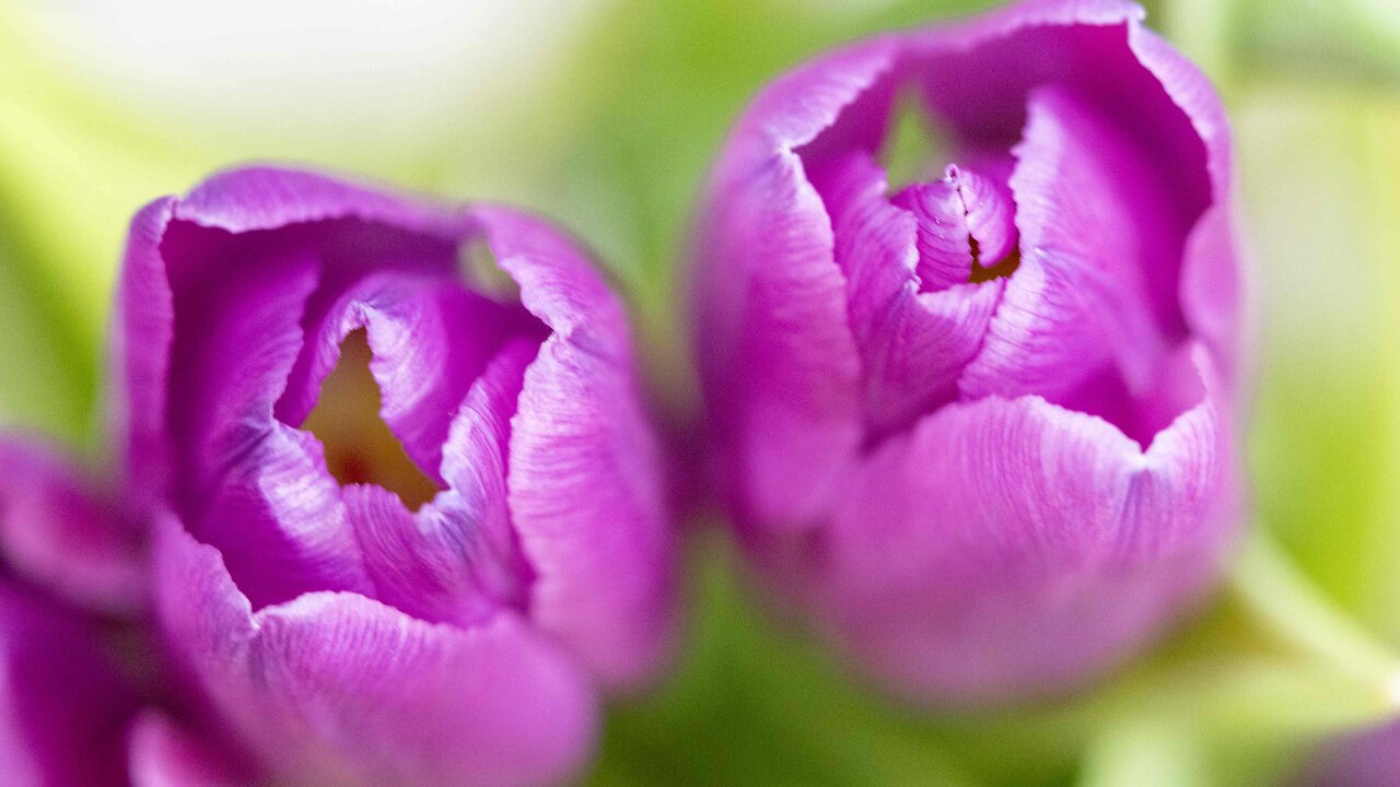 What ISO is in photography