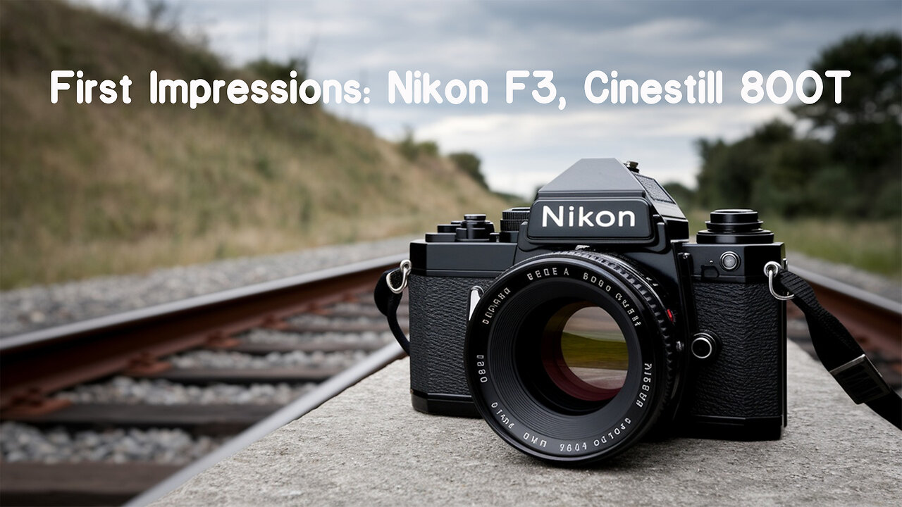 Nikon F3: First Impressions: Shooting Cinestill 800T in Santa Cruz & Monterey