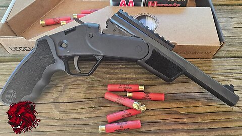 Rossi Brawler: The ULTIMATE Pocket Hand Cannon?! (Unboxing & Range Test)