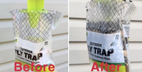 Retaking Fly-Infested Neighborhood with Rescue! Outdoor Fly Trap: Part 2- 40,000 Flies Later