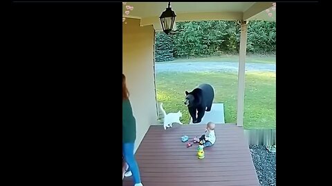 Man's best friend saves the children! -and the cats do too!