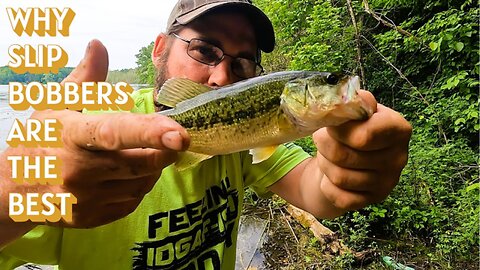 You Won't Believe What I Caught Using Slip Bobbers!