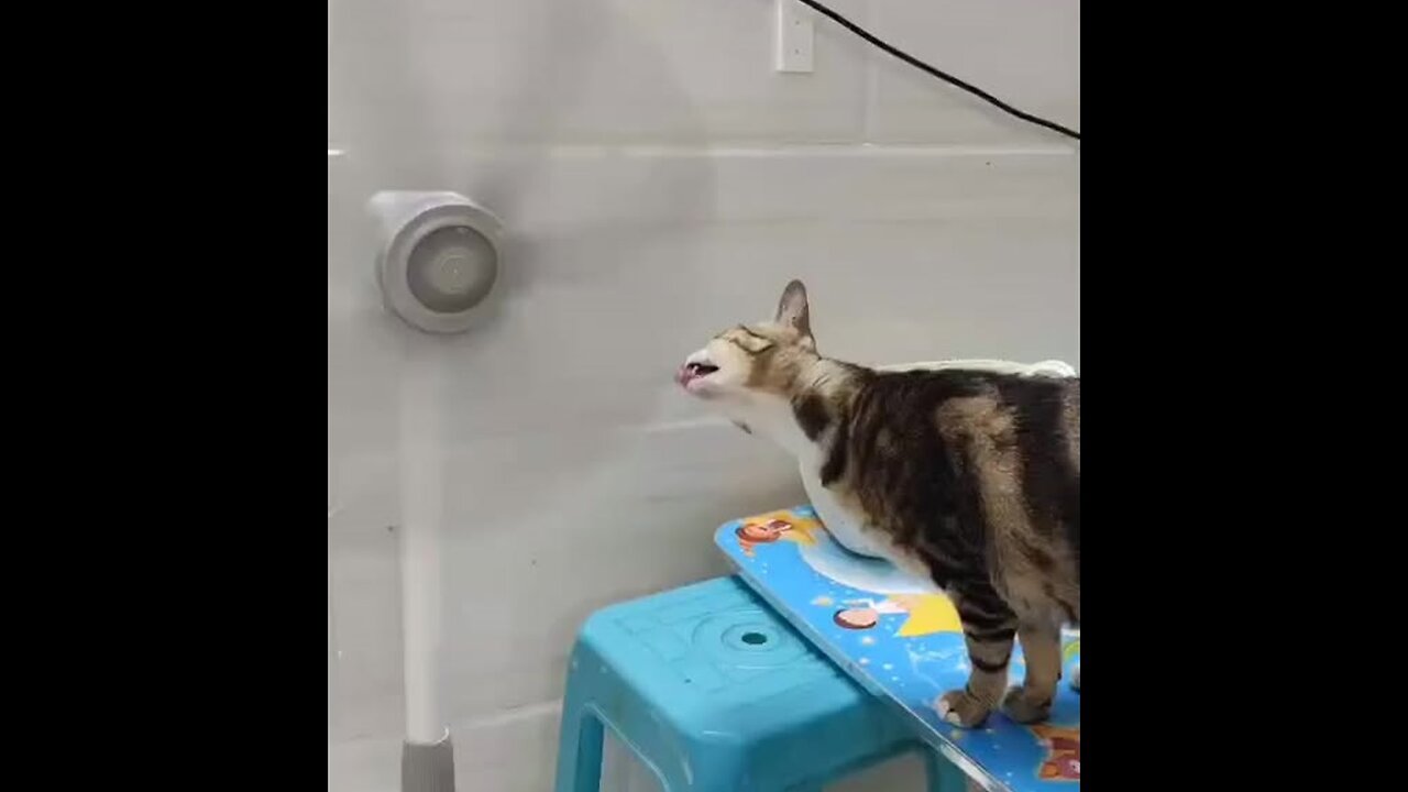 What's going on here 🤣☺️