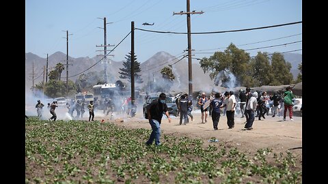 Shots Fired at ICE Agents During Wild California Cannabis Farm Raid