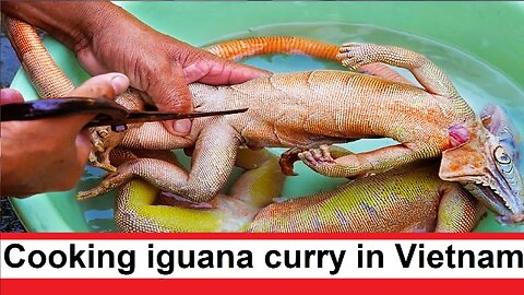 Cooking iguana lizard curry delicious food in Vietnam