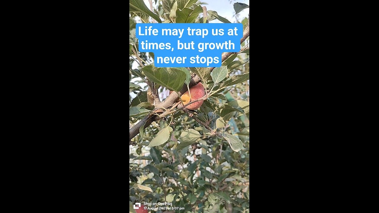 Life Trapped Motivational