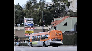 LACMTA Metro Local #8404 002 rear